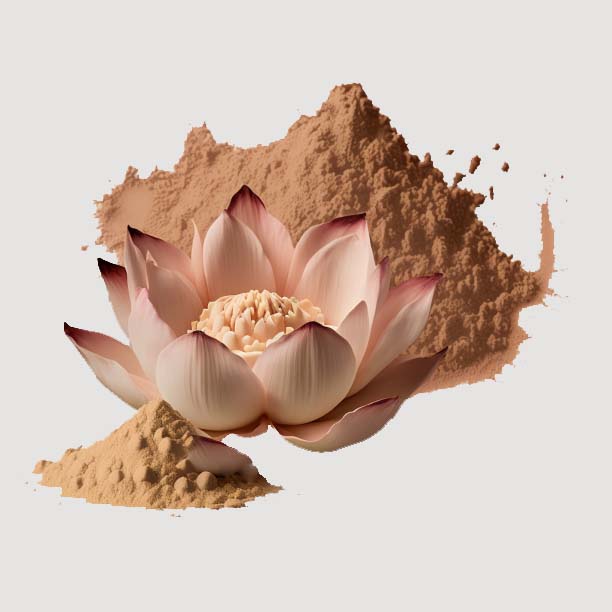 Lotus powder